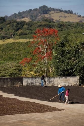 Café Dupan 100% Arábica Kit 3 Pacotes Desgustação Moído 250g (Torra Intensa, Média, Especial)