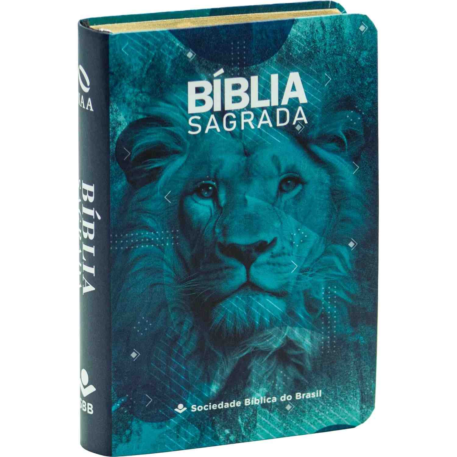 Bíblia Sagrada NAA Edição de Bolso: Nova Almeida Atualizada para Levar a Palavra Sempre com Você