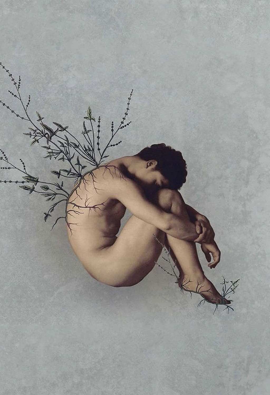 Céu Noturno Crivado de Balas: Poesia que Transcende Guerras e Identidades