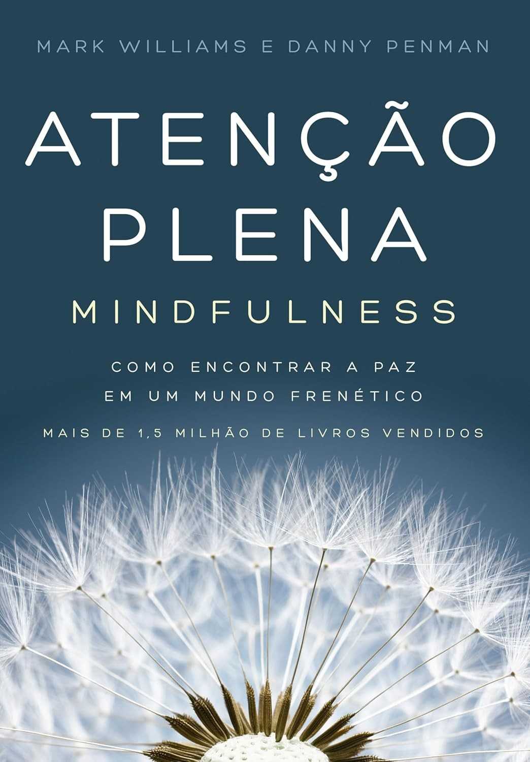 Atenção Plena (Mindfulness): Encontre a Paz Interior em um Mundo Frenético