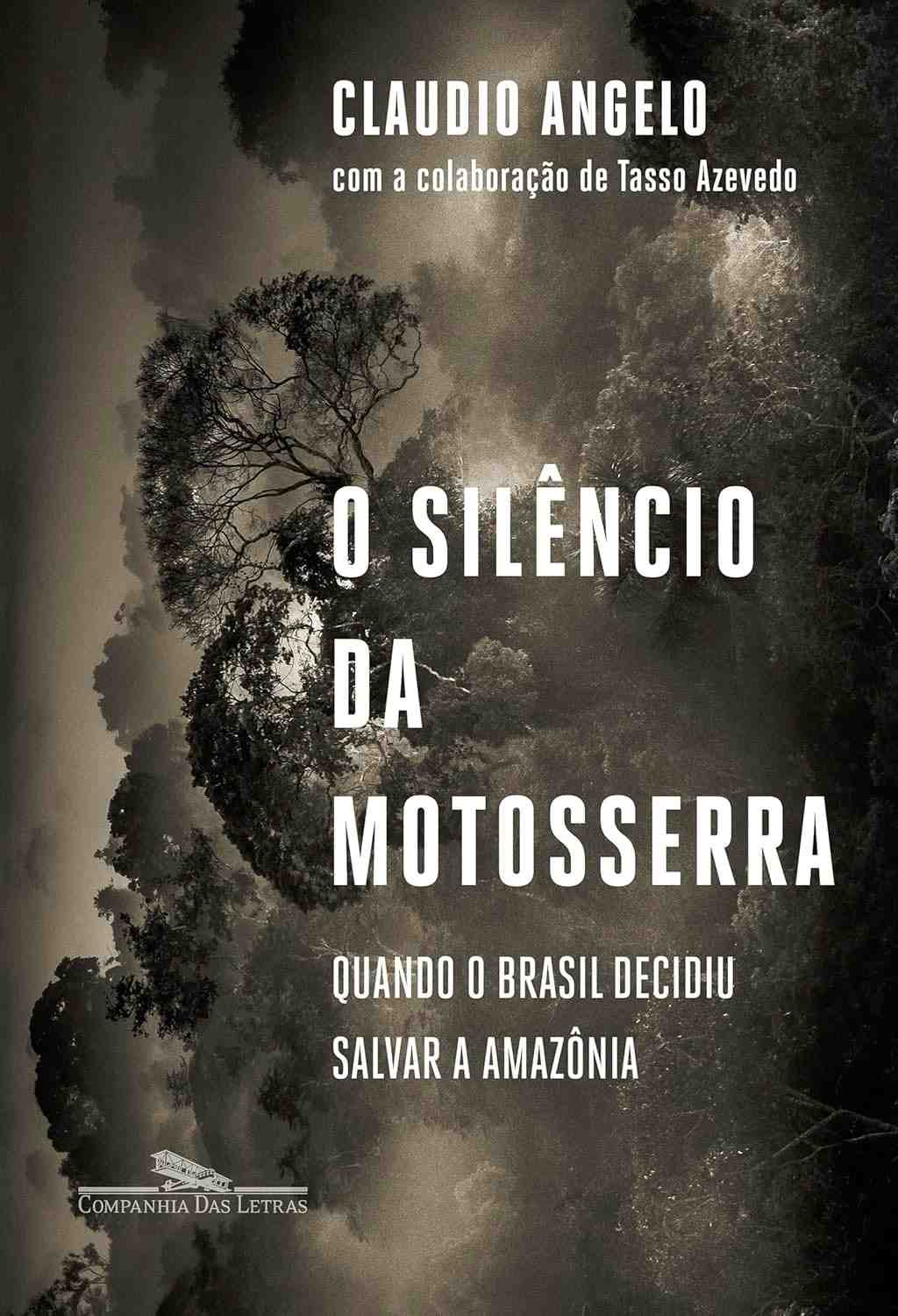 O Silêncio da Motosserra: A Revolução Amazônica que o Brasil Fez