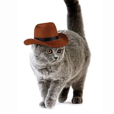 Chapéu Cowboy Pet: Estilo e Aventura para Seu Amigo!