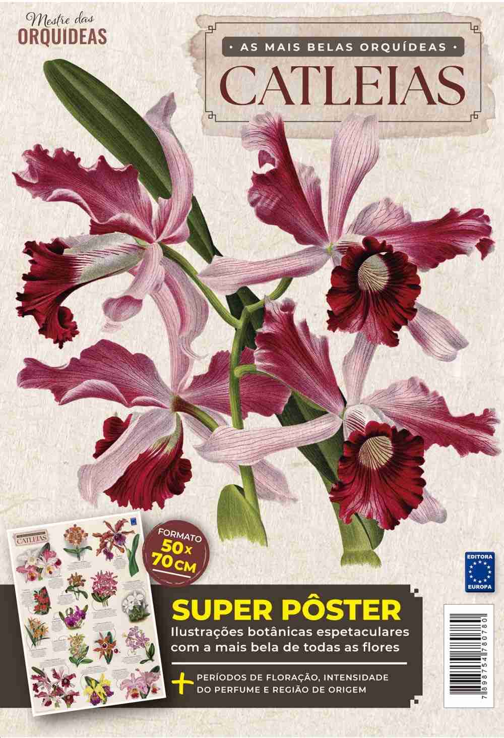 Pôster Orquídeas Catleias: Arte Botânica Exclusiva 50x70cm