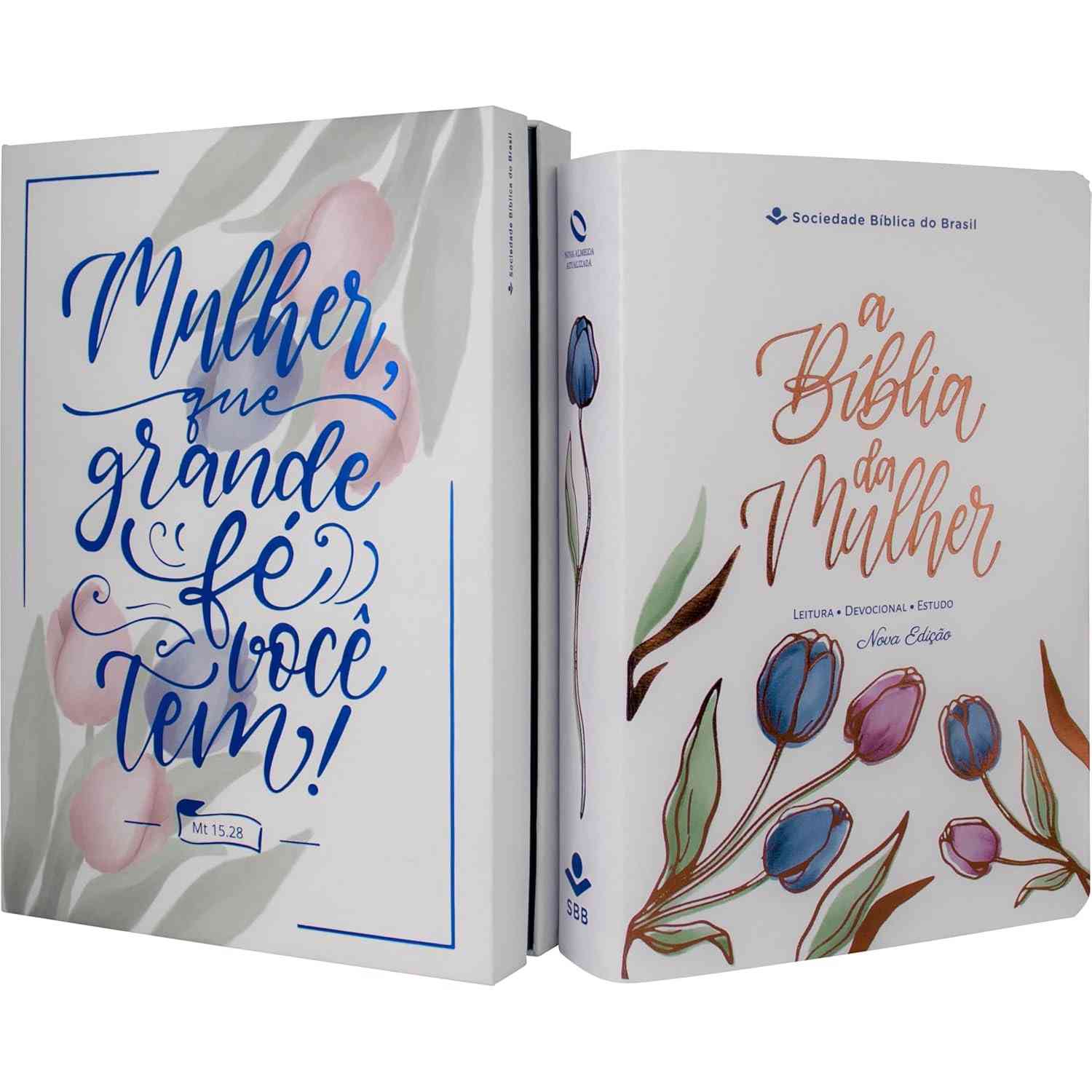 Bíblia da Mulher NAA Nova Edição: Descubra Histórias Inspiradoras