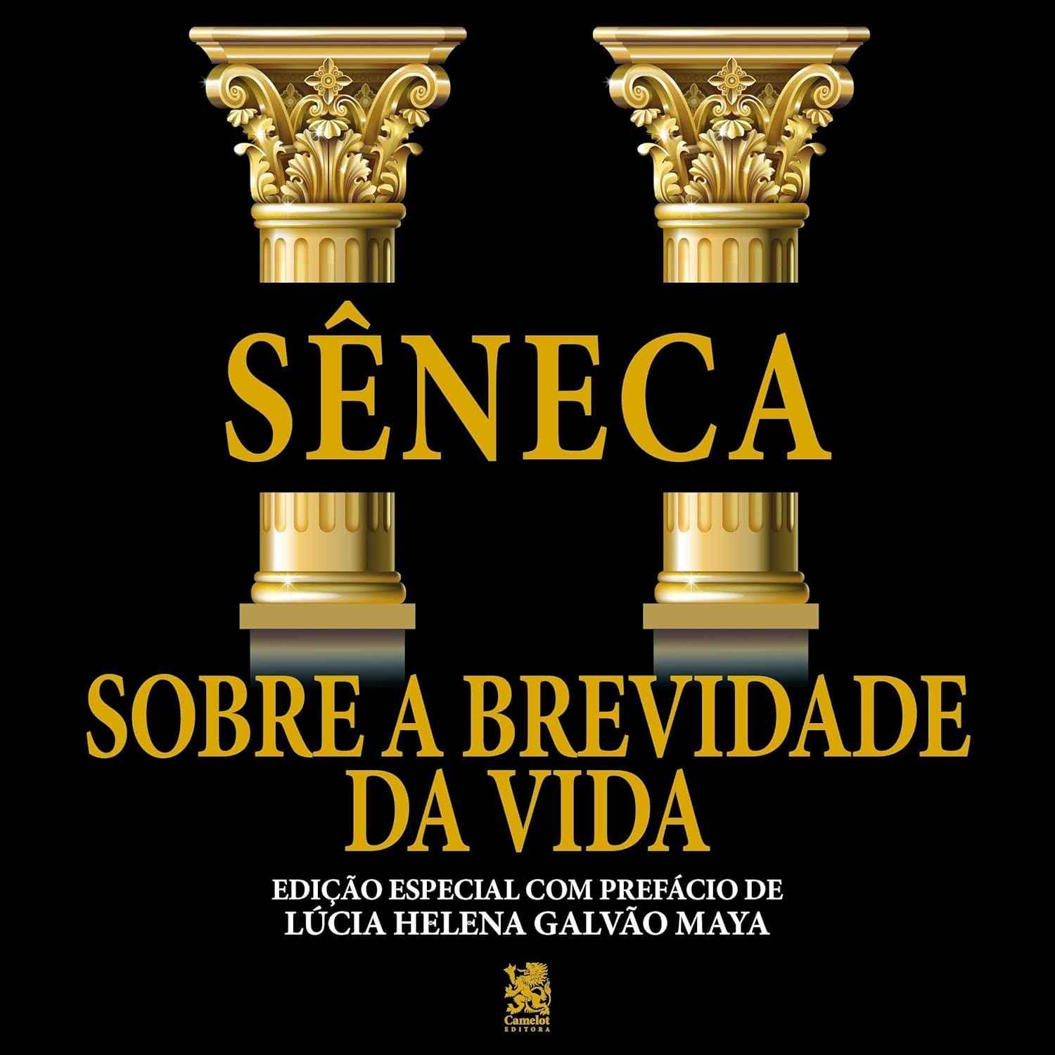 Sobre a Brevidade da Vida: Sabedoria Estoica para Viver Melhor