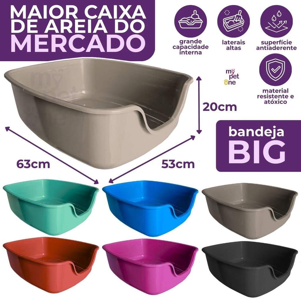 Caixa de Areia Gato Big: Conforto e Limpeza!