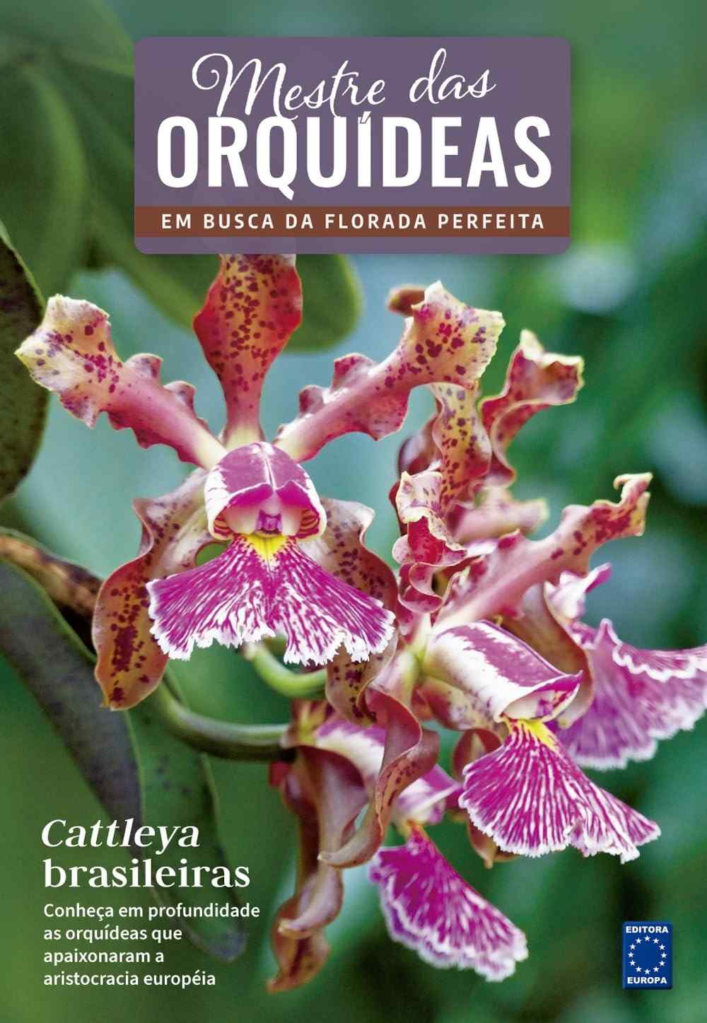Mestre das Orquídeas: Cattleya Brasileiras - Descubra a Beleza e o Cultivo Perfeito