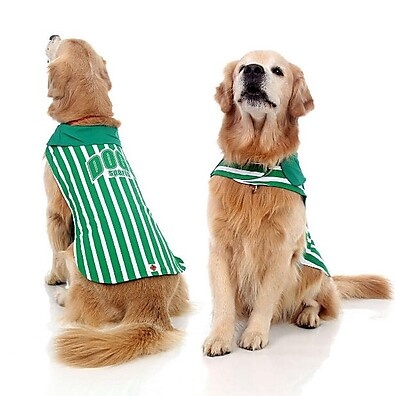 Colete Alvi Verde para Cachorro – Elegância e Conforto!