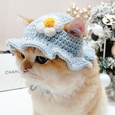 Chapéu Pet Fofo: Estilo e Conforto!