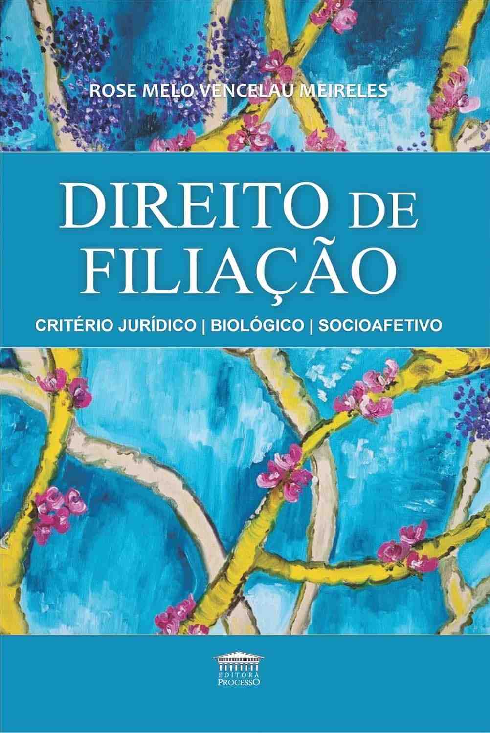 Direito de Filiação: Critérios Jurídico, Biológico e Socioafetivo - Guia Completo