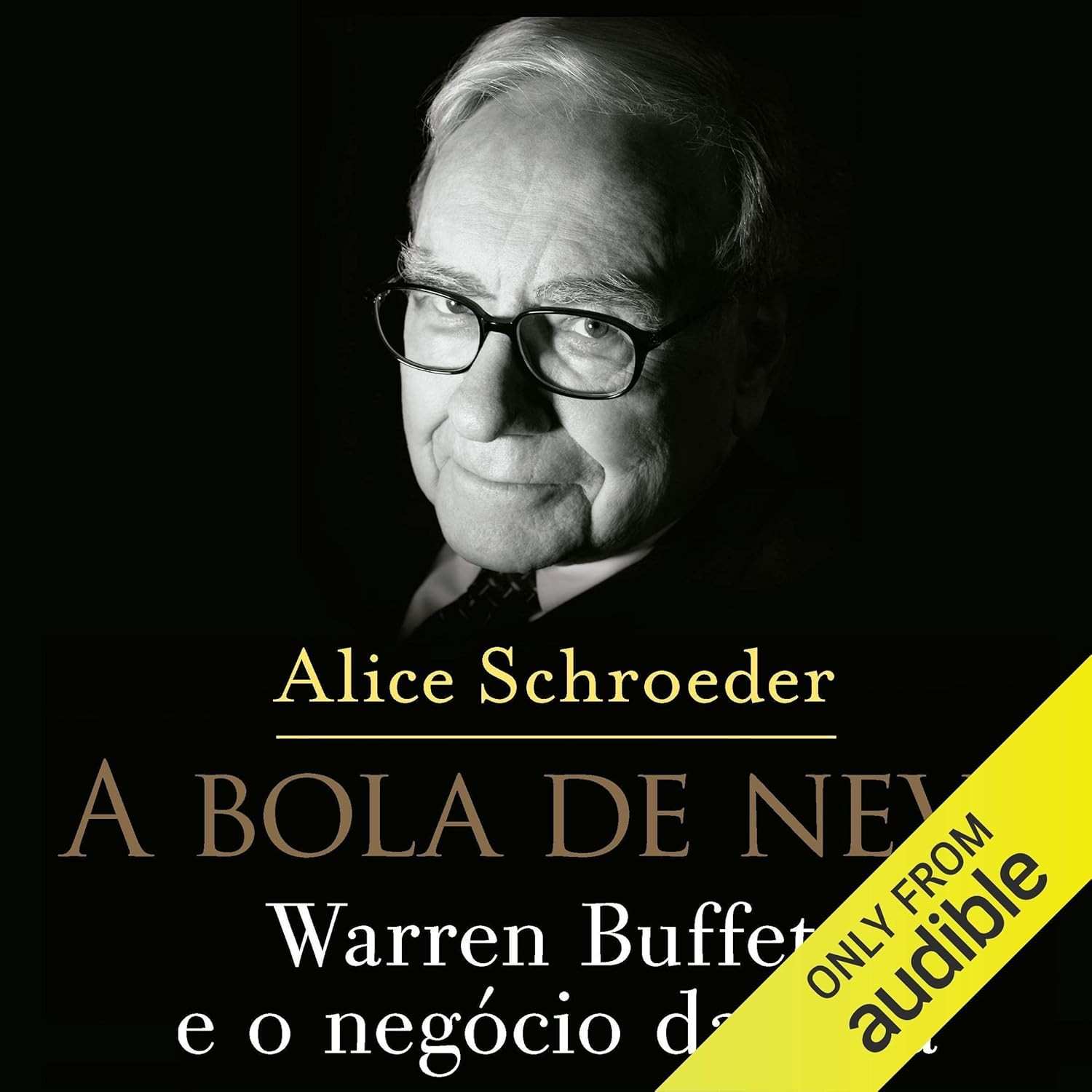 A Bola de Neve: A Biografia Definitiva de Warren Buffett e o Segredo do Sucesso