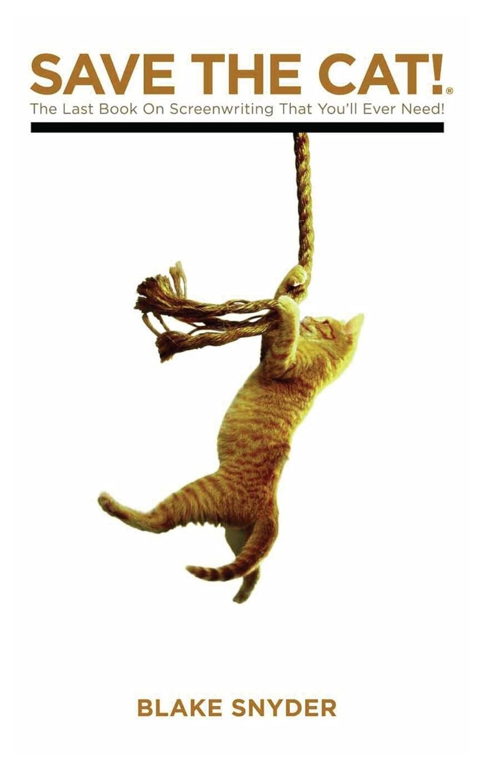 Save the Cat: O Guia Definitivo para Roteiristas de Sucesso