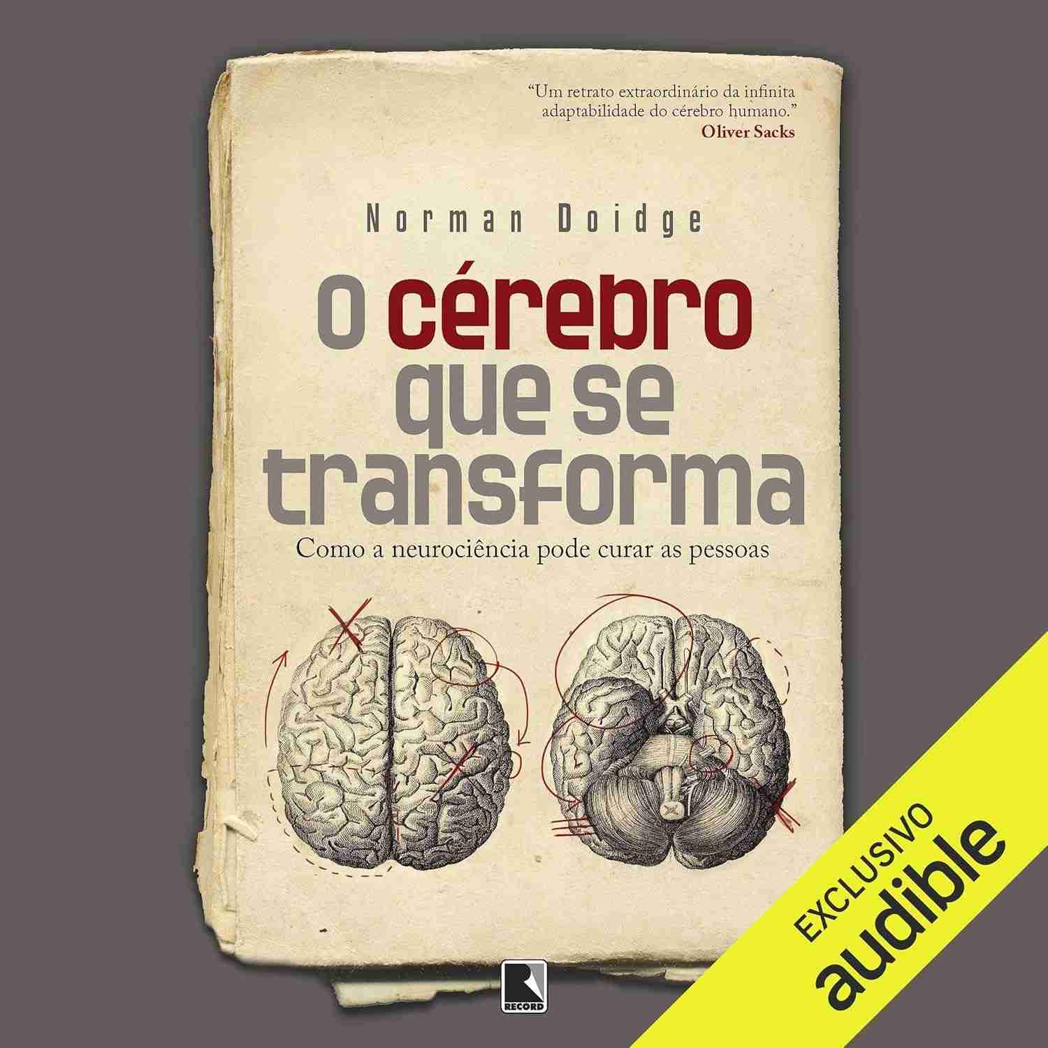 O Cérebro Que Se Transforma: Descubra o Poder da Neuroplasticidade