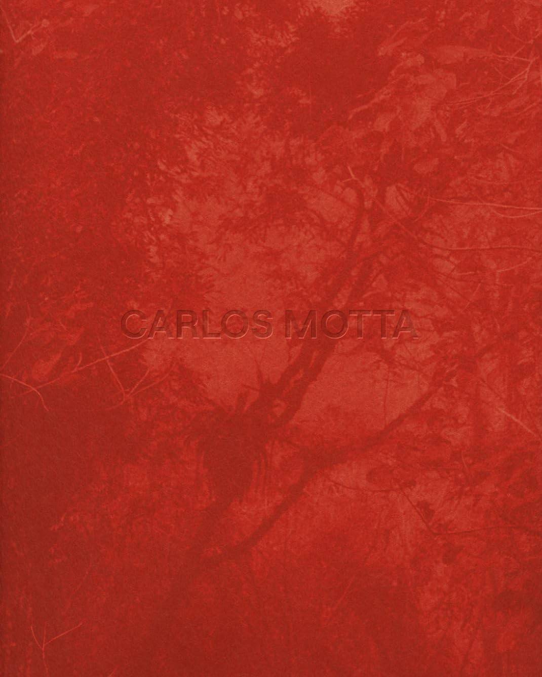 Carlos Motta: Marcenaria, Arquitetura e Design - Uma Jornada Criativa