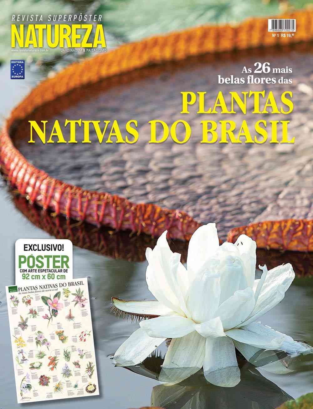 Superpôster: As Mais Belas Flores Nativas do Brasil - Arte Exclusiva 92x60cm