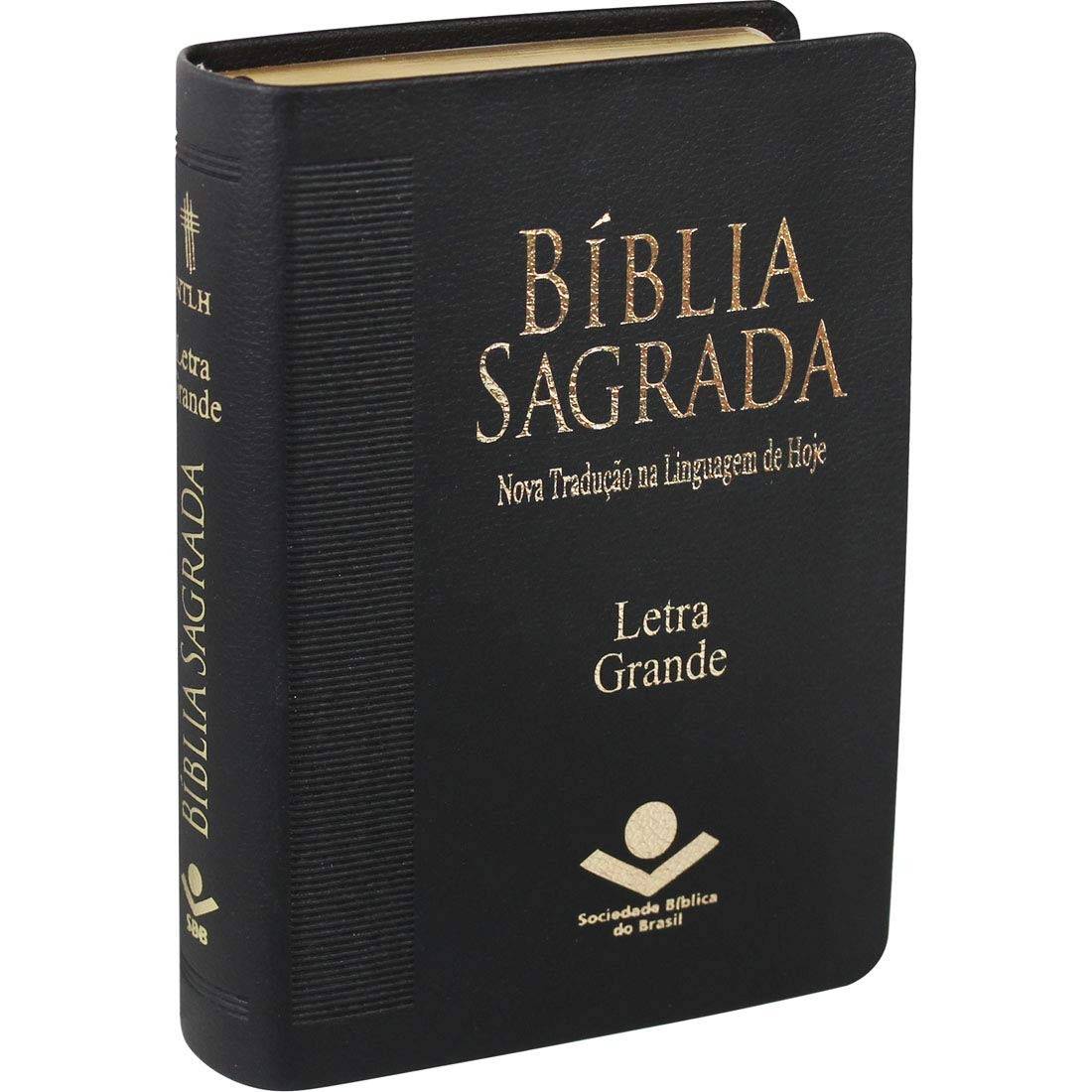 Bíblia Sagrada NTLH Letra Grande: Conforto e Clareza na Palavra de Deus