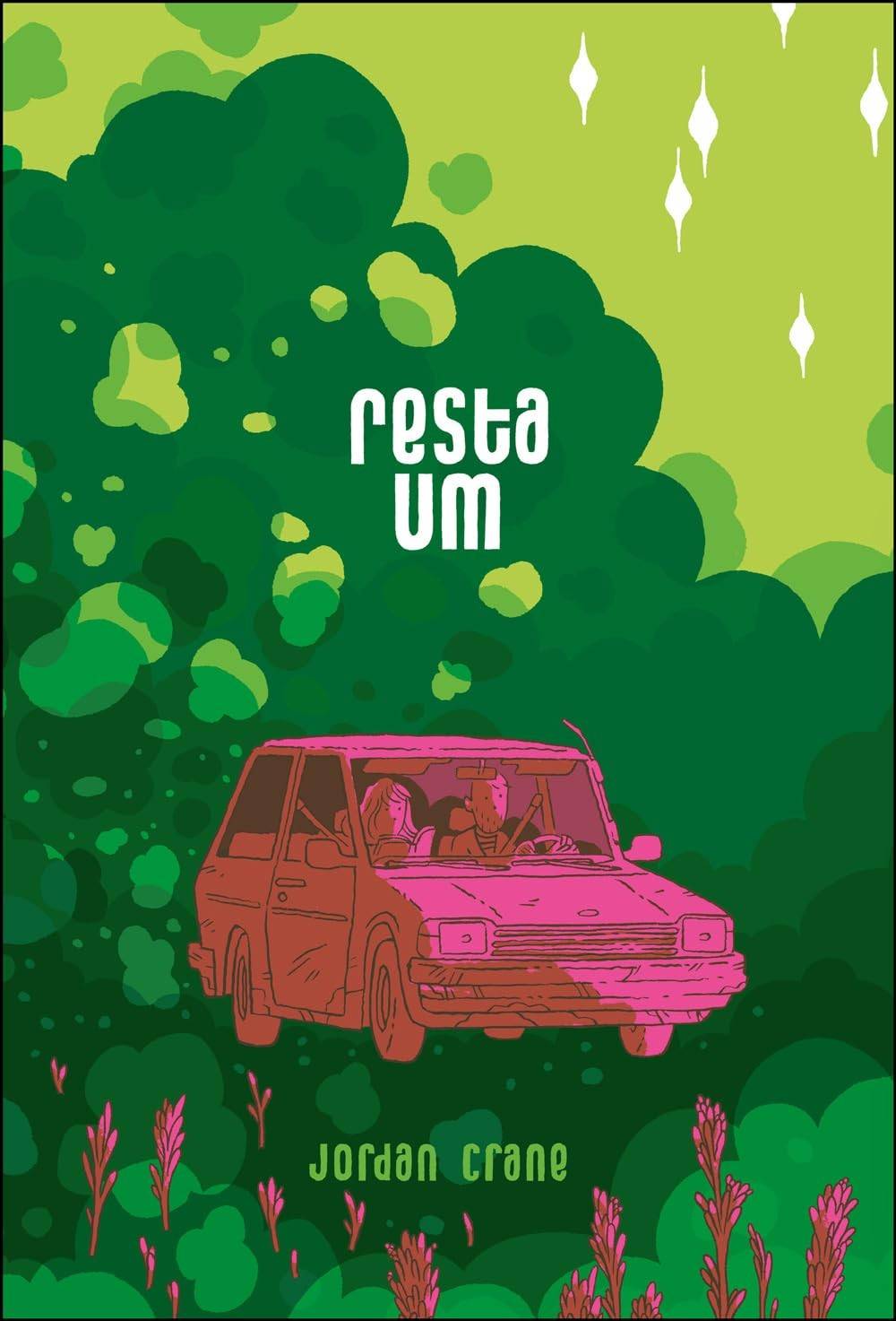 Resta Um: Graphic Novel Emocionante de Jordan Crane Sobre Perda e Encontro