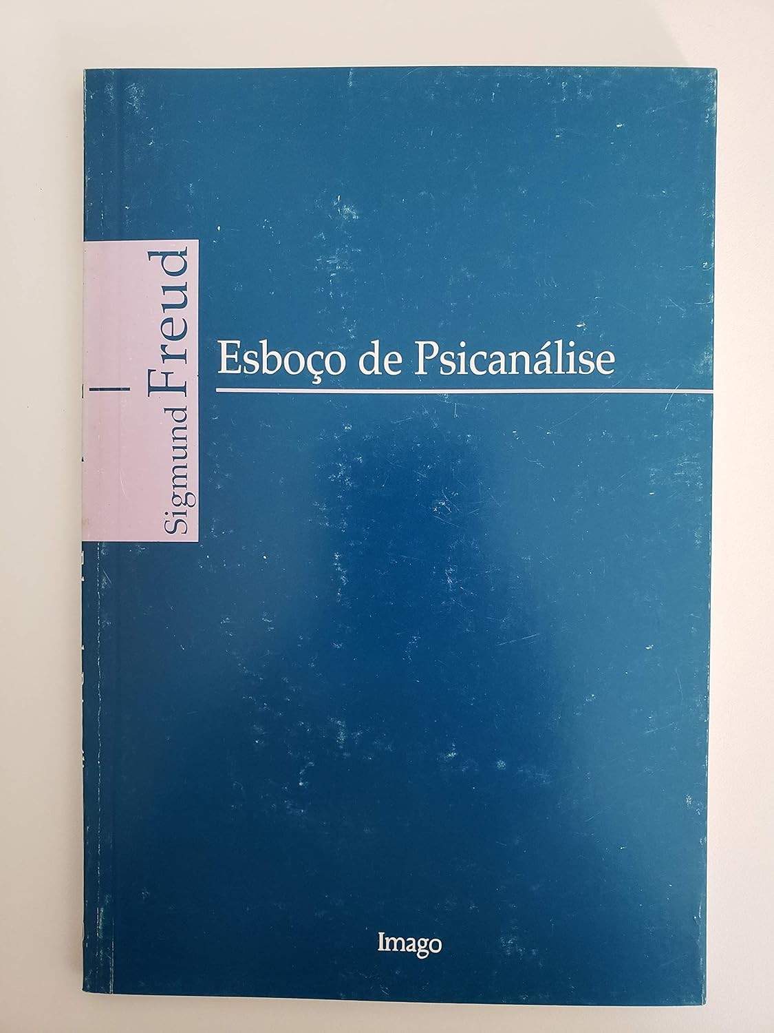 Esboço De Psicanálise: Um Guia Essencial Para Entender a Mente Humana