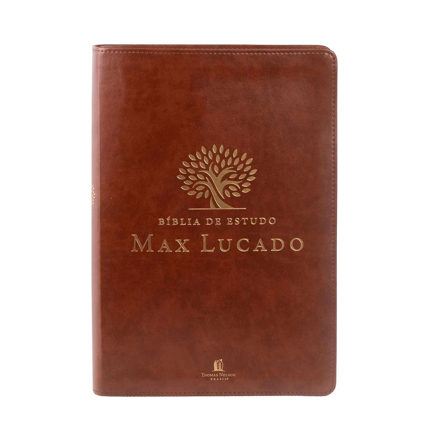 Bíblia de Estudo Max Lucado NVI: Mergulhe na Palavra com Sabedoria e Inspiração