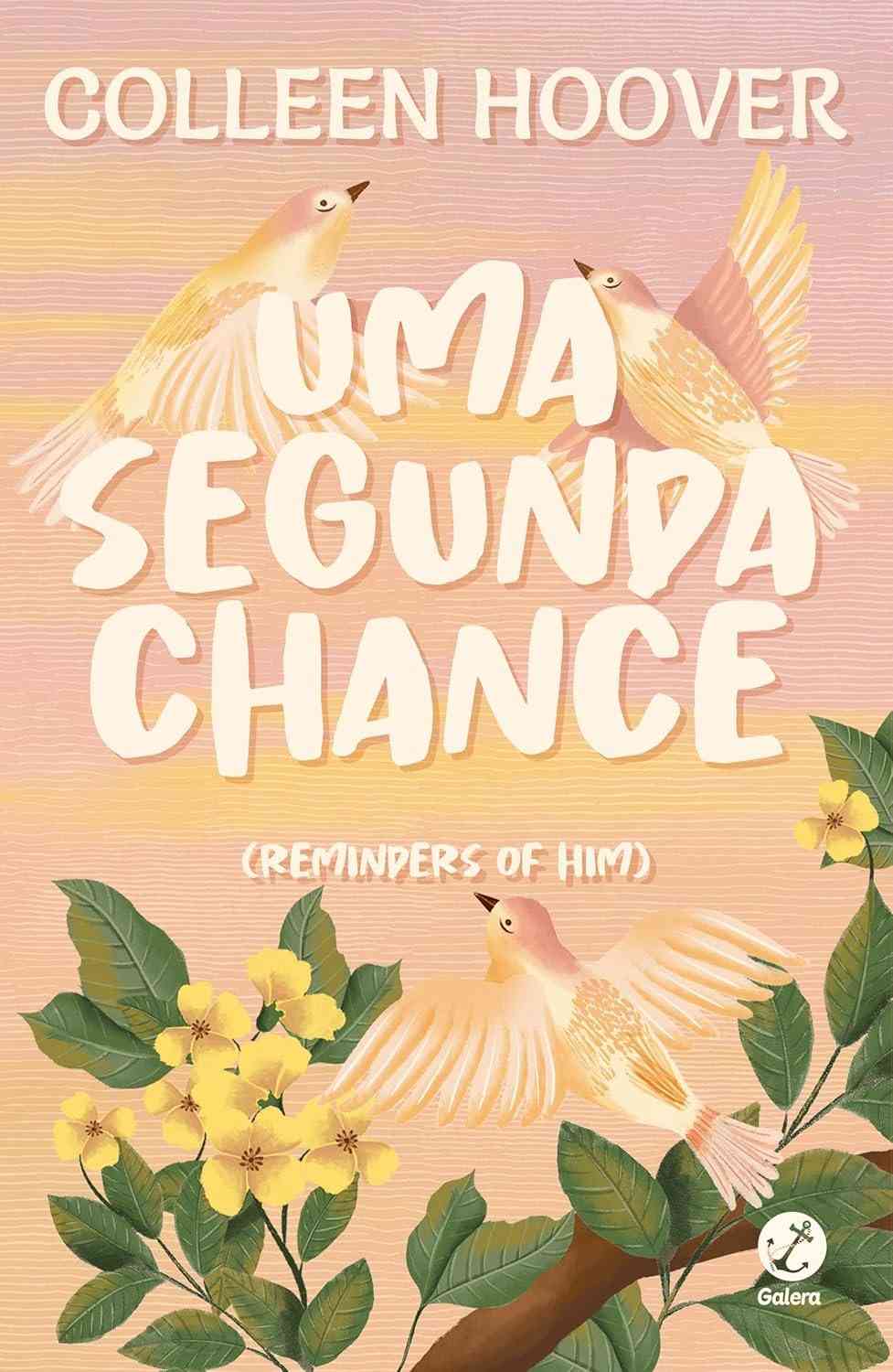 Uma Segunda Chance: O Romance Fenômeno de Colleen Hoover que Você Não Pode Perder