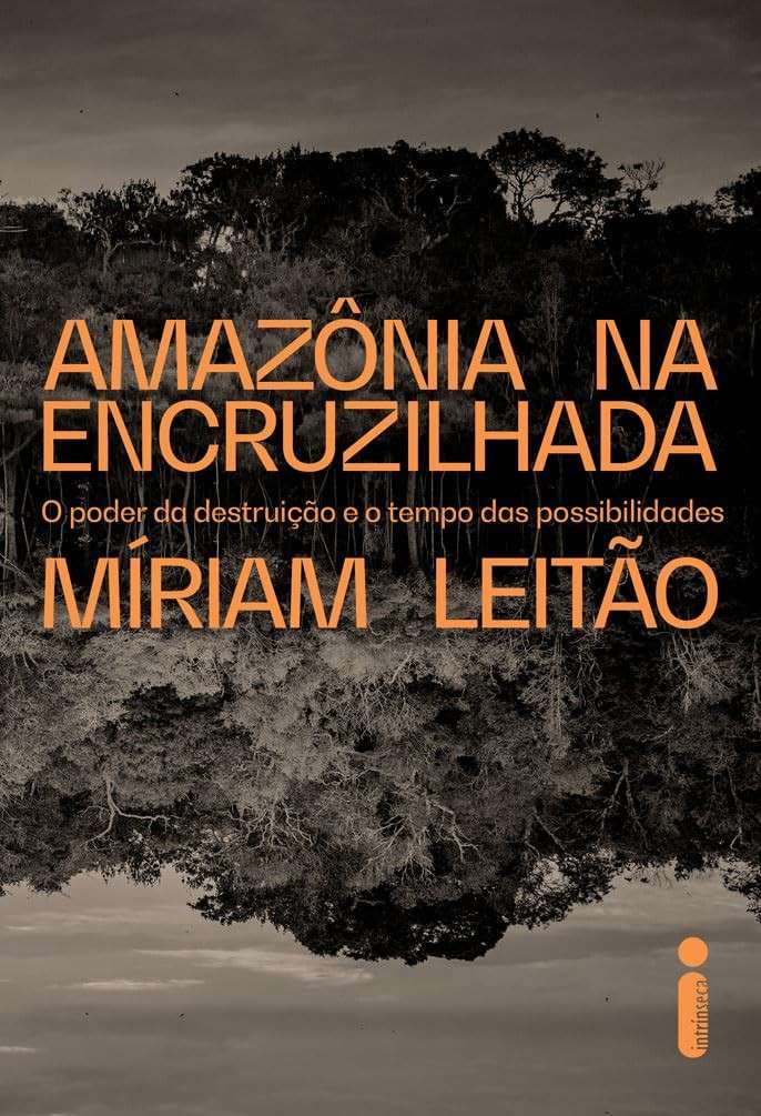 Amazônia na Encruzilhada: O Futuro da Floresta e da Economia