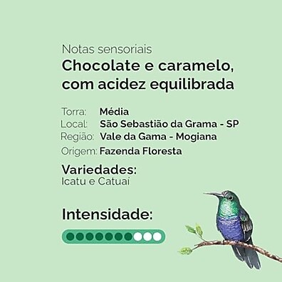 Café Fazenda Floresta Especial Grãos 1kg: Sabor Único
