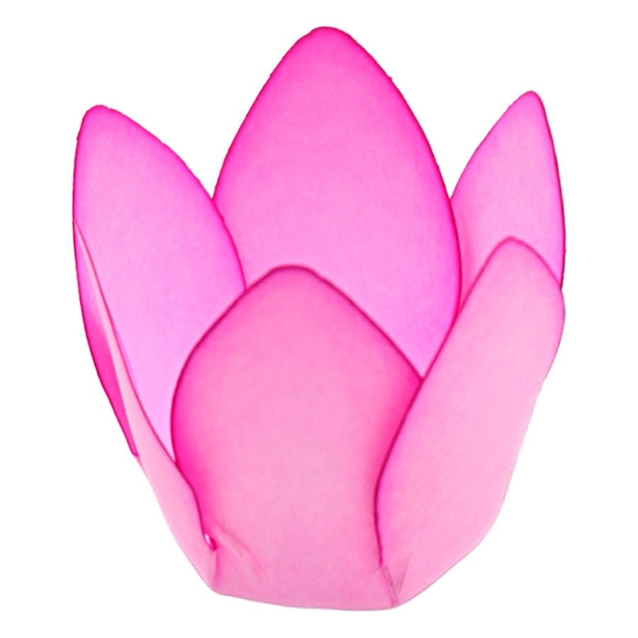 Forminhas Monaco Rizzo: Elegância em Rosa!