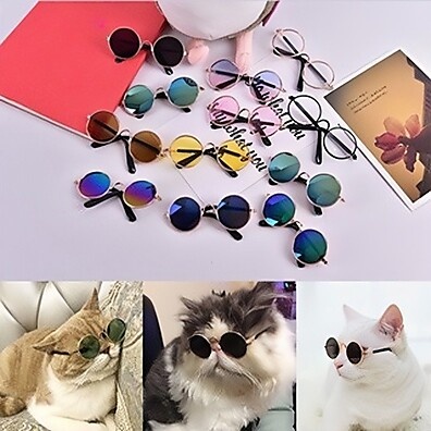 Óculos de Sol para Pets Pequenos: Proteção e Estilo para Seus Cães e Gatos