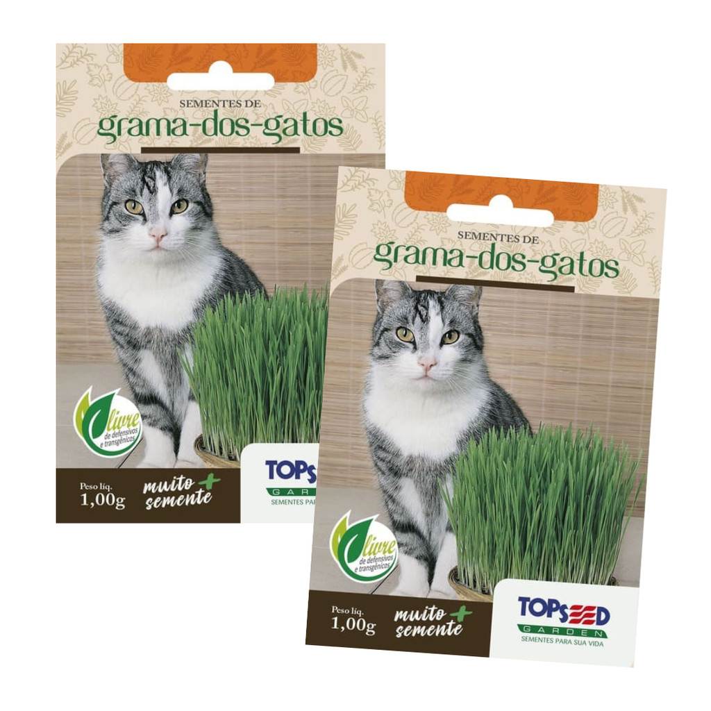 Grama de Gato Topseed: 1800+ Sementes!