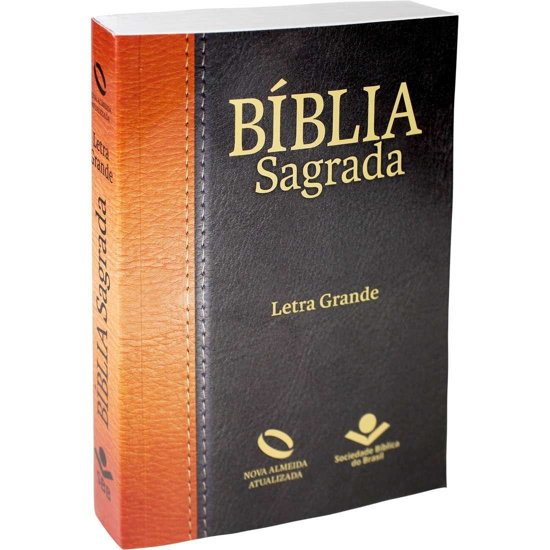 Bíblia Sagrada Letra Grande NAA - Capa Preta: Leitura Clara e Confortável
