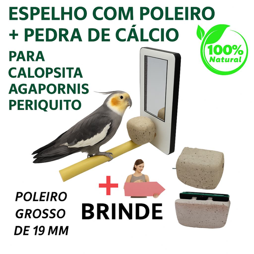 Kit Espelho e Pedra de Cálcio para Calopsitas: Brinquedo Educativo que Atrai e Fortalece