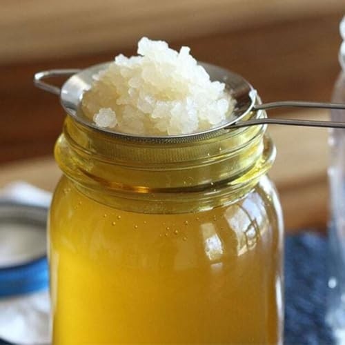 Kit Kombucha e Kefir de Agua Com Assessoria no Cultivo e Criação