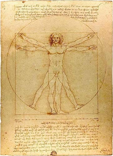O Homem Vitruviano de Leonardo da Vinci - Tela Canvas 30x41cm - Obra de Arte para Decoração Elegante