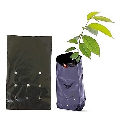 100 Saquinhos Para Mudas: Plante Sem Limites!