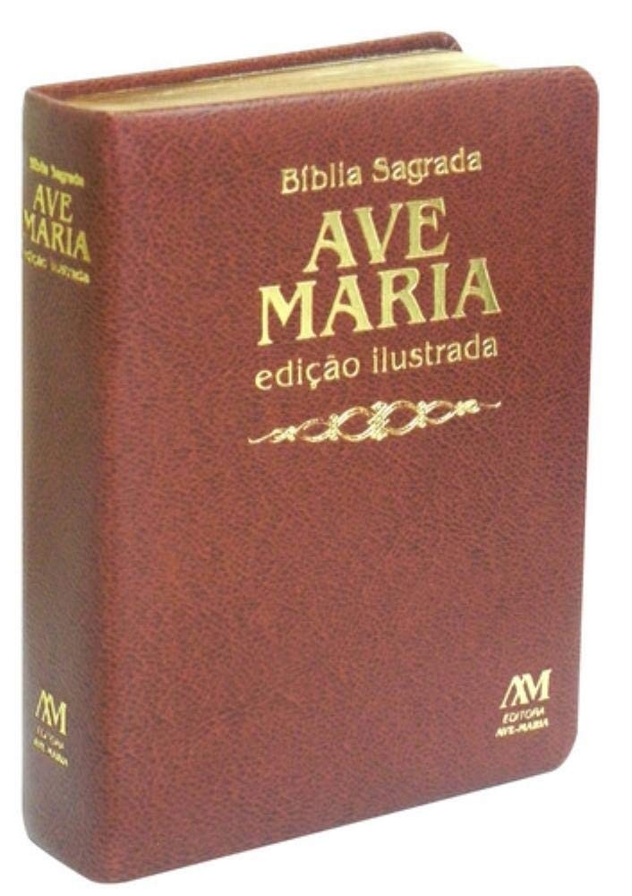 Bíblia Ilustrada Luxo Marrom Média: Edição Especial com Pinturas Clássicas