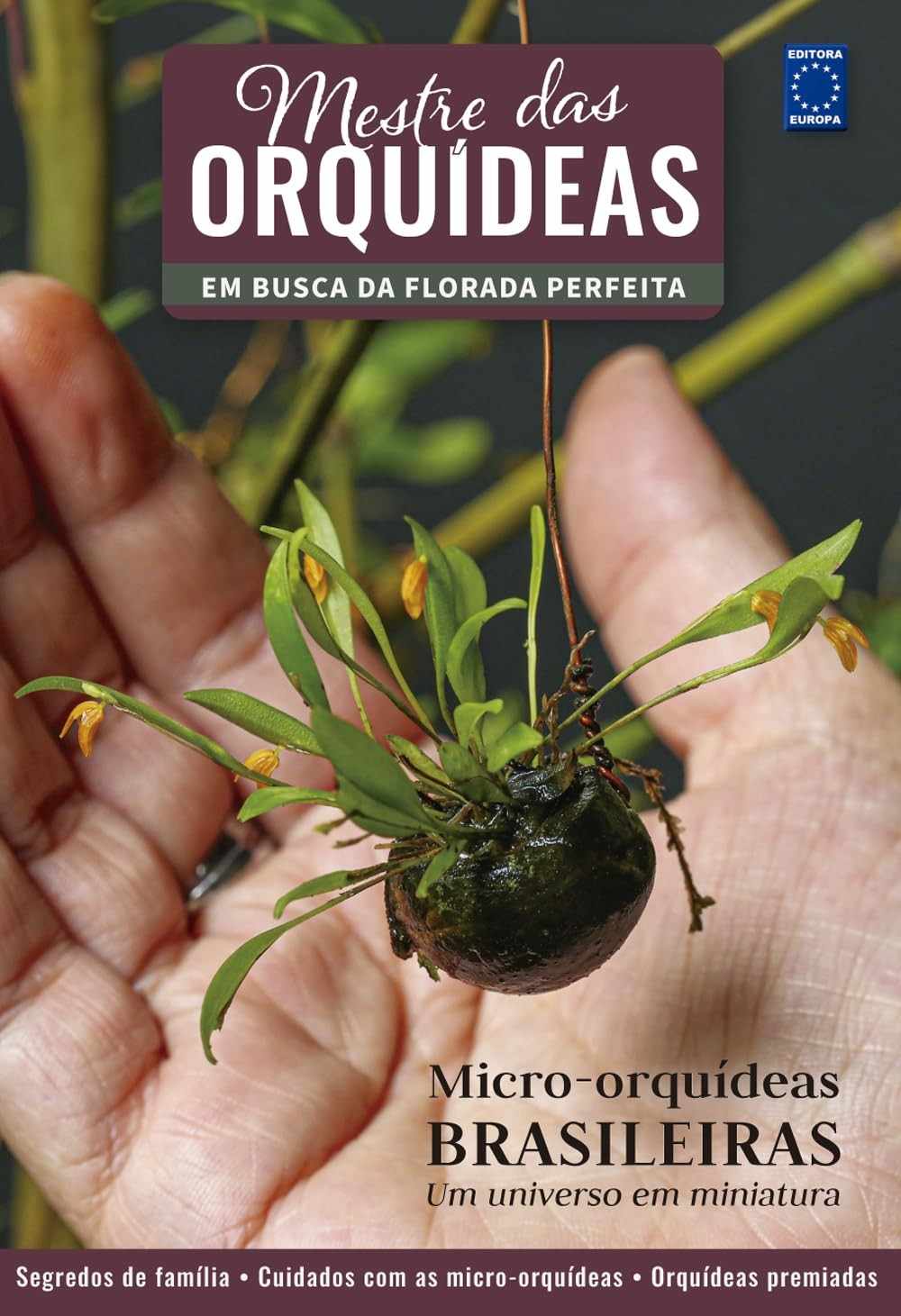 Mestre das Orquídeas Vol. 17: Guia Completo de Micro-Orquídeas Brasileiras