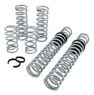 Kit Molas Eibach Pro-UTV Stage 2 E85-209-001-02-22: Desempenho Superior para seu Polaris RZR XP 1000 - imagem 1