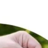Saco Lixo Biodegradável Verde: 15 a 100L - imagem 2