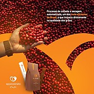 Café Appassionato Grãos 1kg: Puro Arábica Expresso - imagem 4