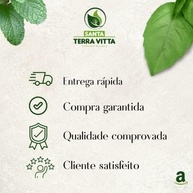 Gergelim Branco S/Casca (1Kg) - imagem 3