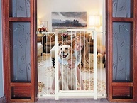 Tubline Grade Plus Para Cães 20 - Segurança e Liberdade para seu Pet - imagem 3