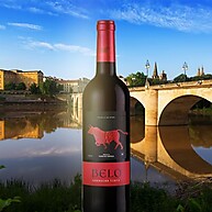 Vinho Tinto Belo Tempranillo 2020: Sabor Espanhol 750ml - imagem 2