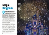 Guia Disney World Orlando 2023: Sua Jornada Mágica Completa! - imagem 5