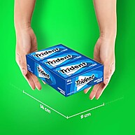 Trident Hortelã: Frescor Sem Açúcar (Caixa 21 Un.) - imagem 1