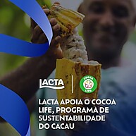 Lacta Favoritos: Caixa de Chocolates Variados 250,6g - imagem 4