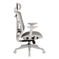 Cadeira de Escritório Ergonômica Diana DT3 com Apoio Lombar 2D e Braço 3D - Conforto Premium para Home Office - imagem 5