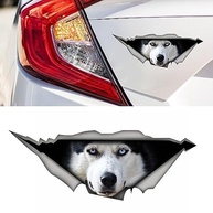 Adesivo Husky 3D Realista para Carro - Decore com Estilo e Diversão! - imagem 4