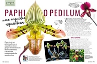 Revista Natureza Edição 410: Guia Completo de Vasos para Casa e Jardim - imagem 3