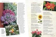 Revista Natureza Edição 436: Flores para Encantar Sua Casa e Jardim - imagem 5