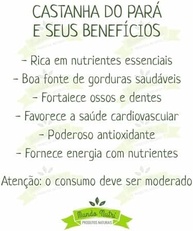 500g Castanha Do Pará Inteira Premium - Nova Safra - imagem 2